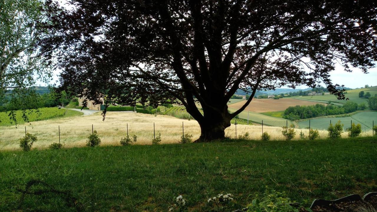 Pieve * Moncalvo